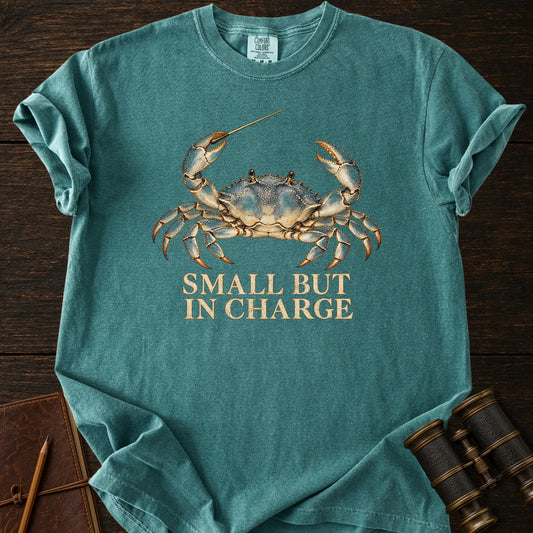 SMALL BUT IN CHARGE