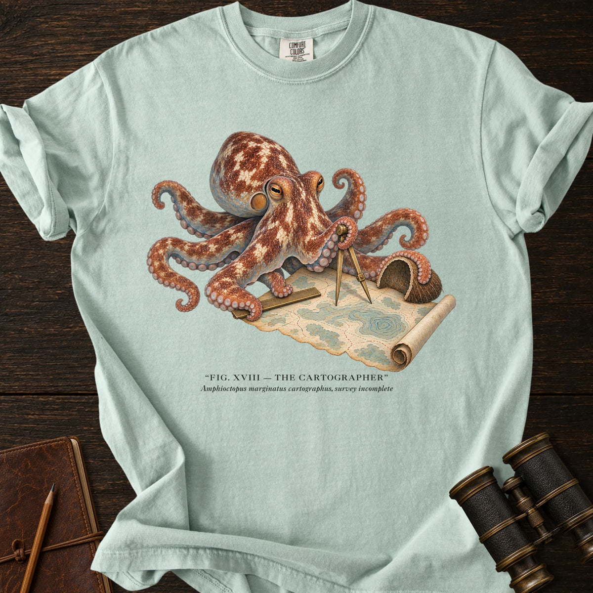 THE CARTOGRAPHER