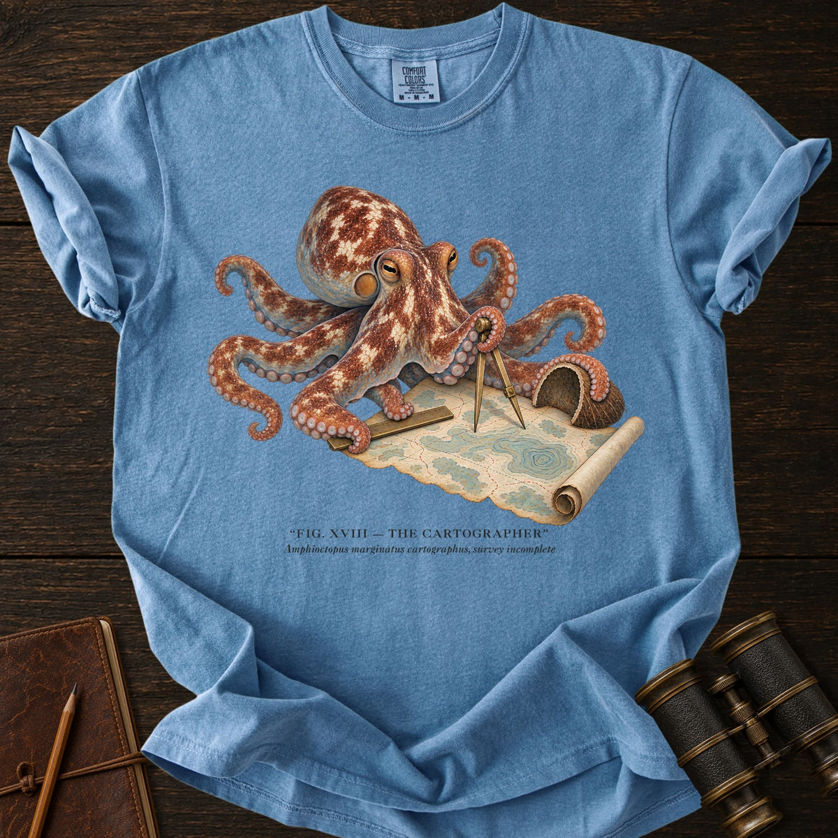 THE CARTOGRAPHER