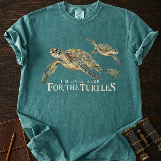 HERE FOR THE TURTLES