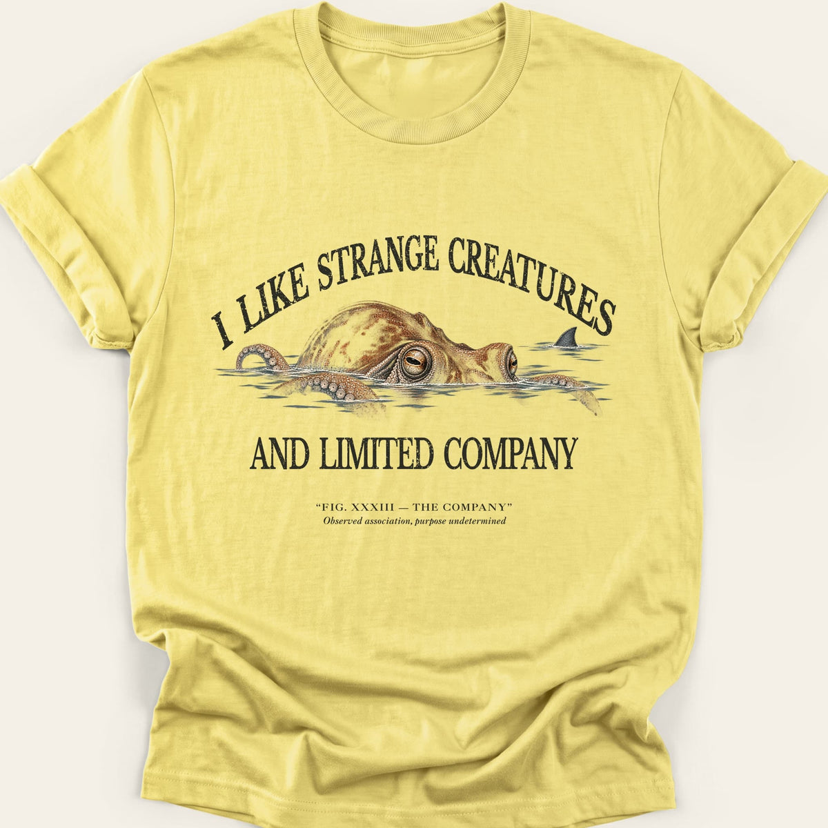 THE COMPANY — SOFTSTYLE TEE
