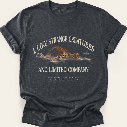 THE COMPANY — SOFTSTYLE TEE
