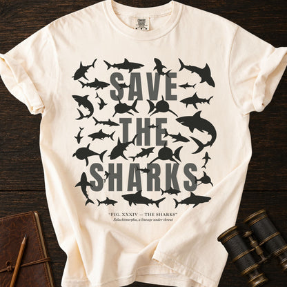 THE SHARKS