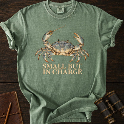 SMALL BUT IN CHARGE