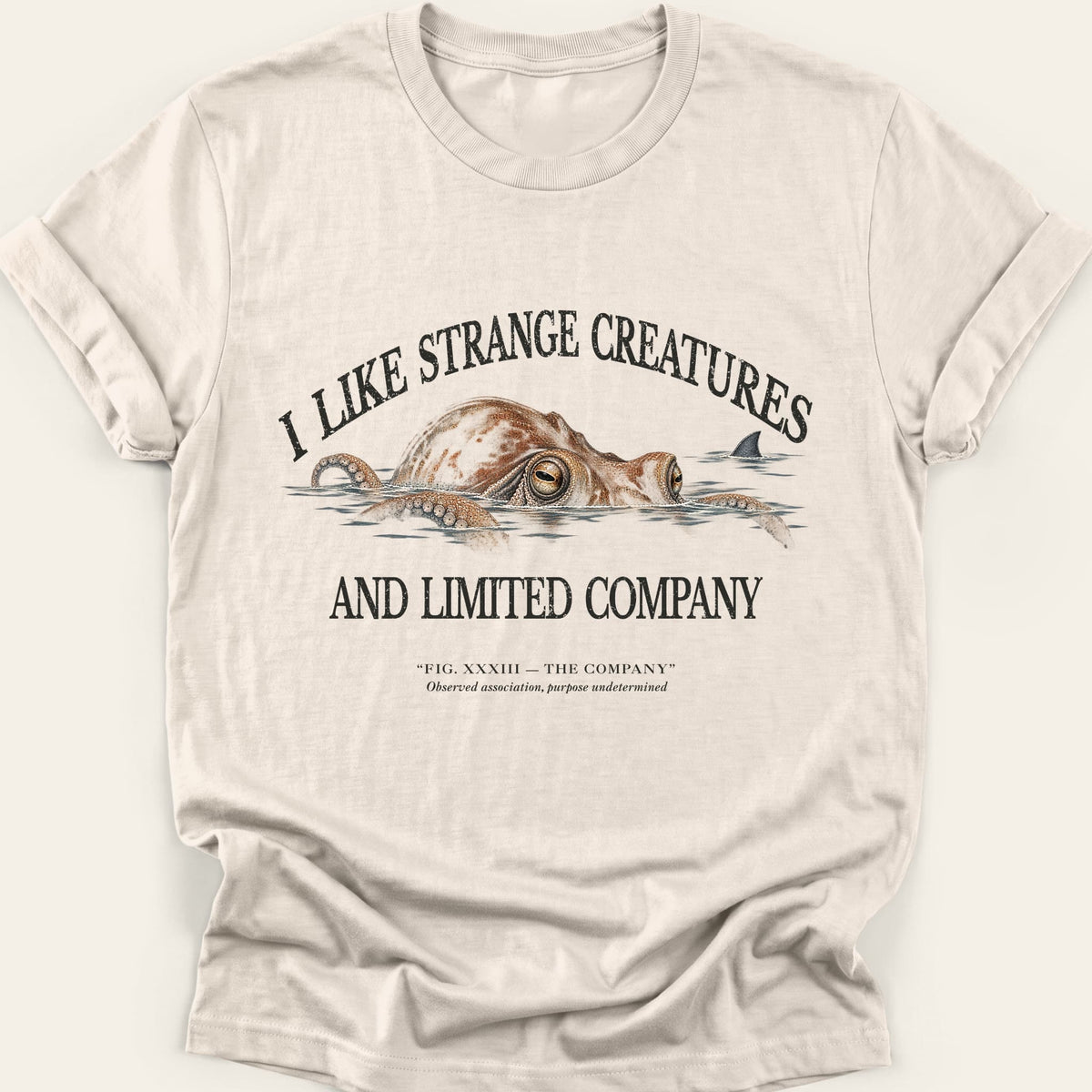 THE COMPANY — SOFTSTYLE TEE