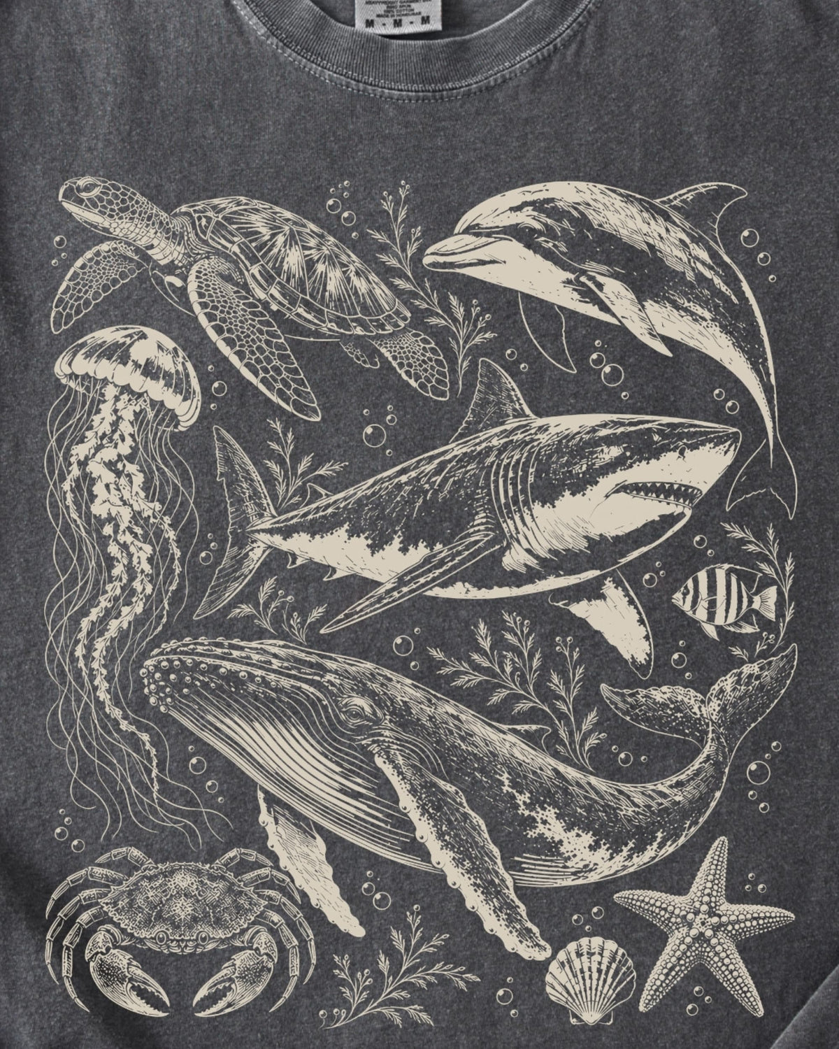 THE OCEAN COLLECTIVE