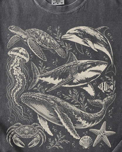 THE OCEAN COLLECTIVE