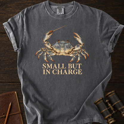 SMALL BUT IN CHARGE