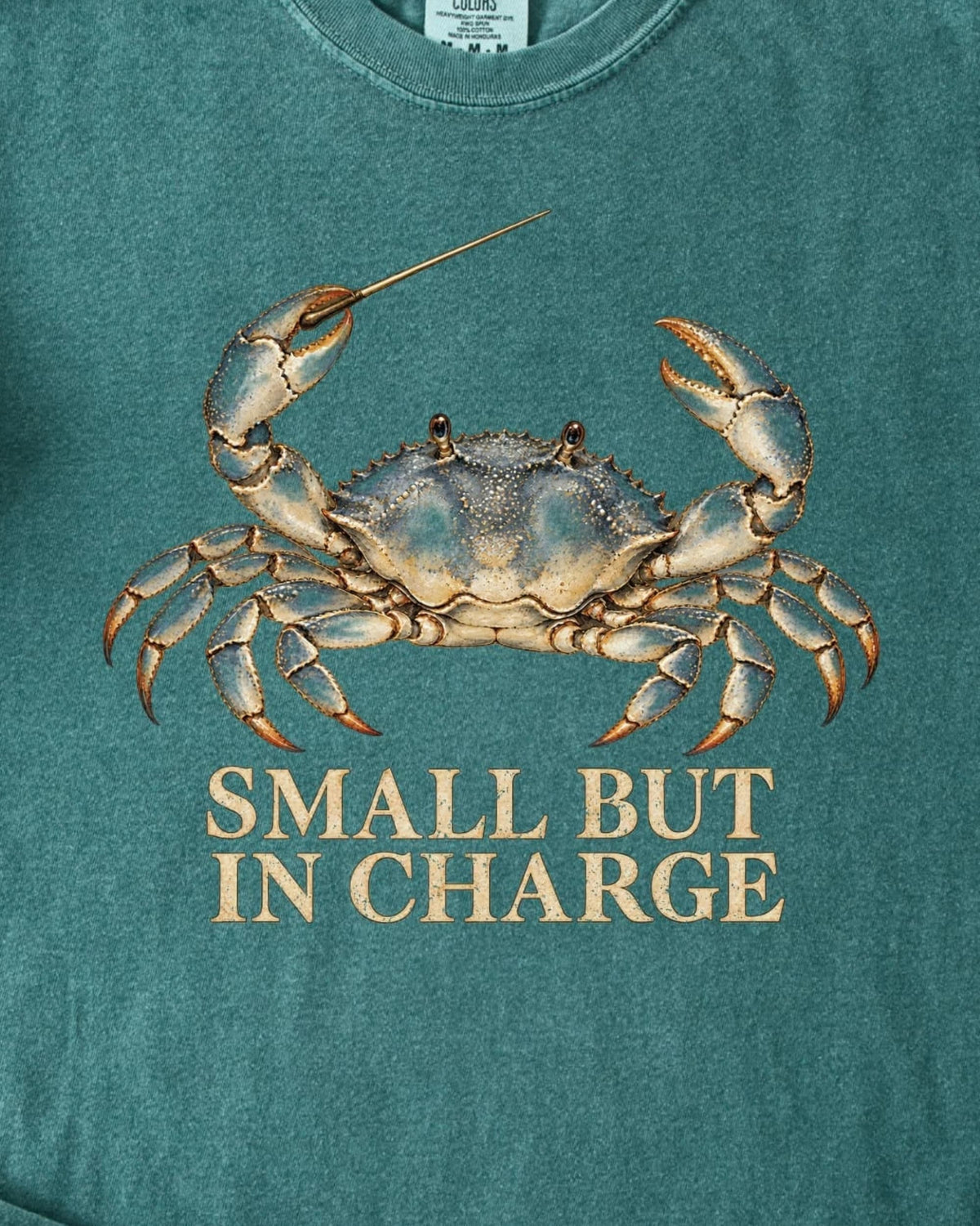 SMALL BUT IN CHARGE