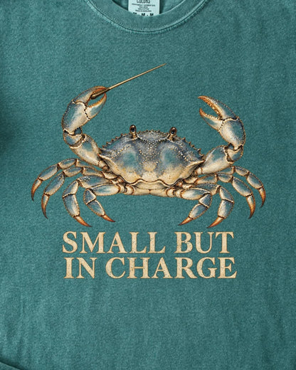 SMALL BUT IN CHARGE