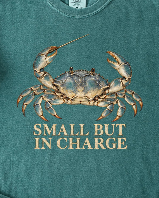 SMALL BUT IN CHARGE
