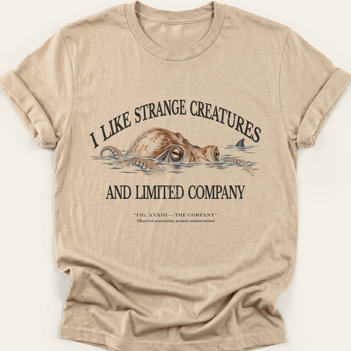 THE COMPANY — SOFTSTYLE TEE