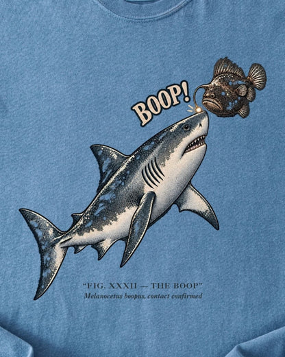 THE BOOP