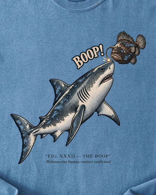 THE BOOP