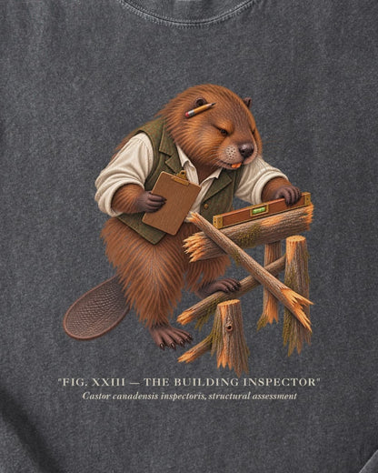 THE BUILDING INSPECTOR