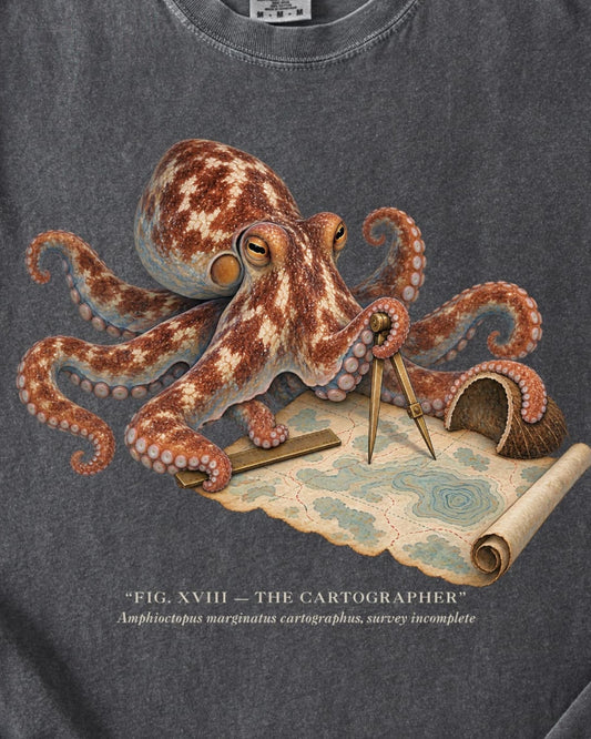 THE CARTOGRAPHER
