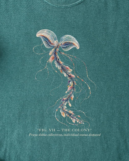 THE COLONY