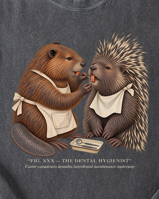 THE DENTAL HYGIENIST
