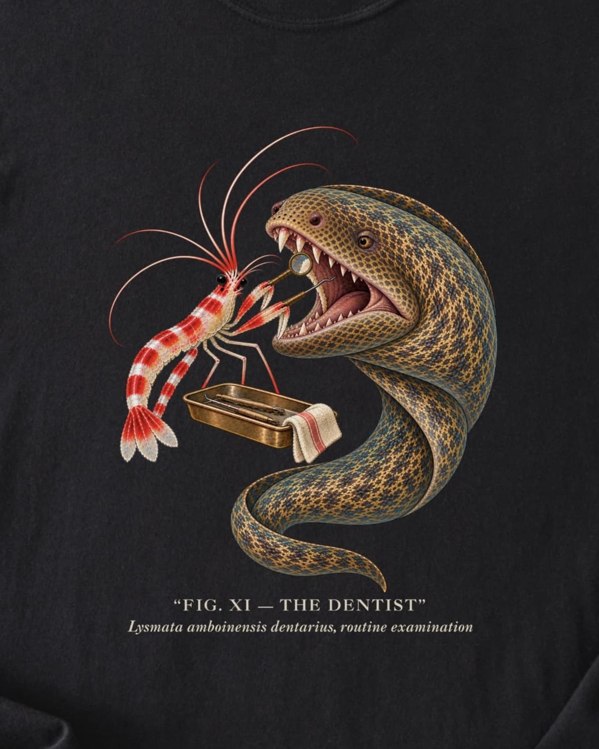 THE DENTIST