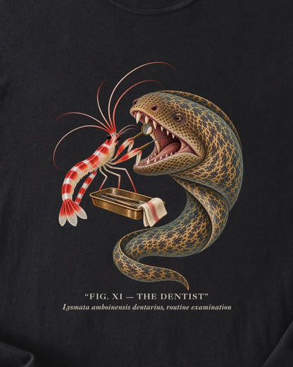 THE DENTIST