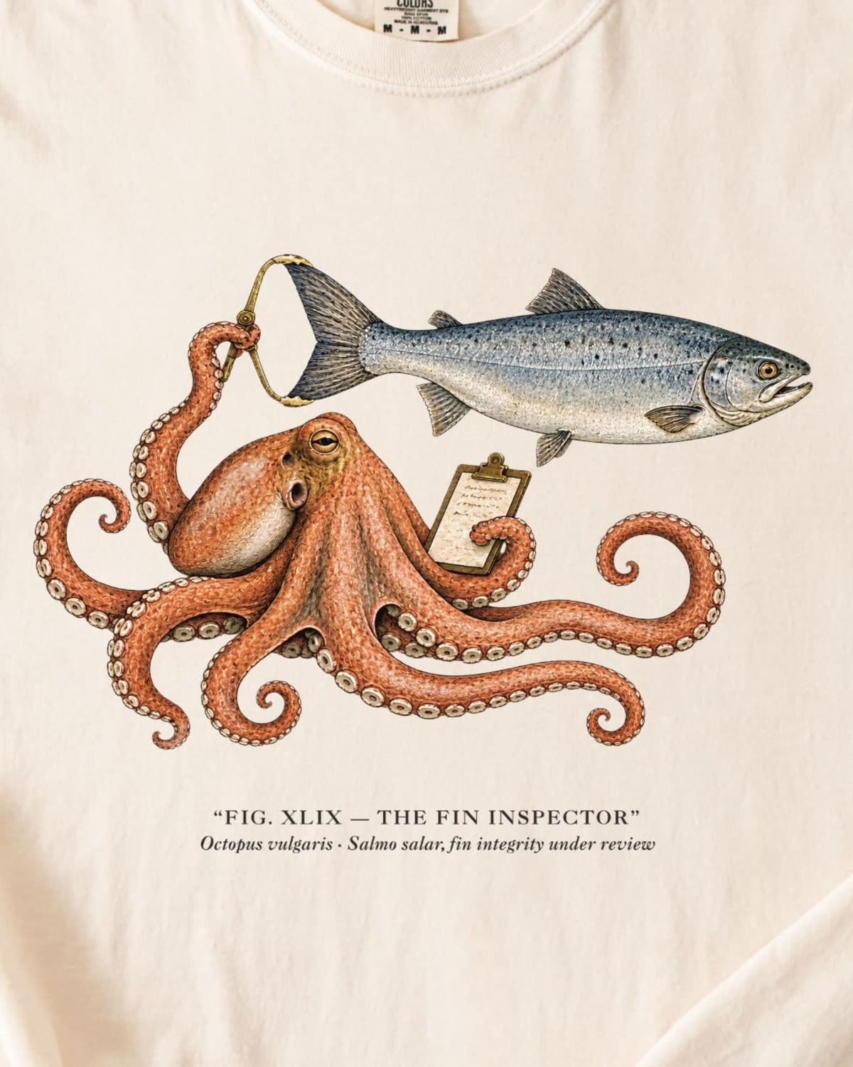THE FIN INSPECTOR