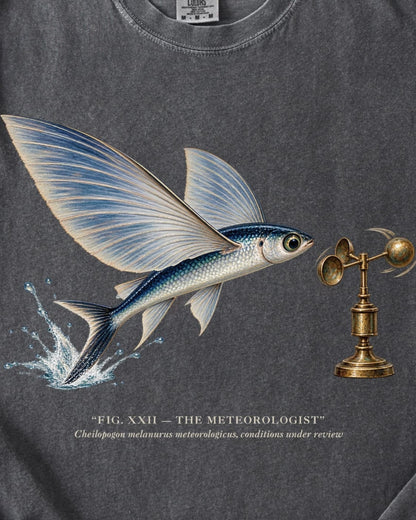 THE METEOROLOGIST