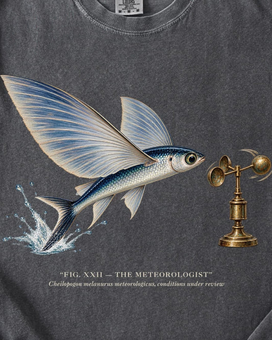 THE METEOROLOGIST