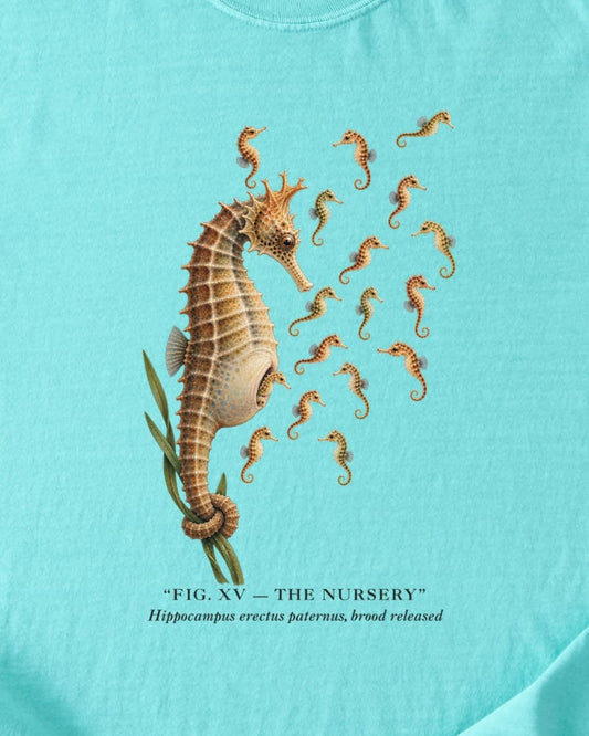 THE NURSERY