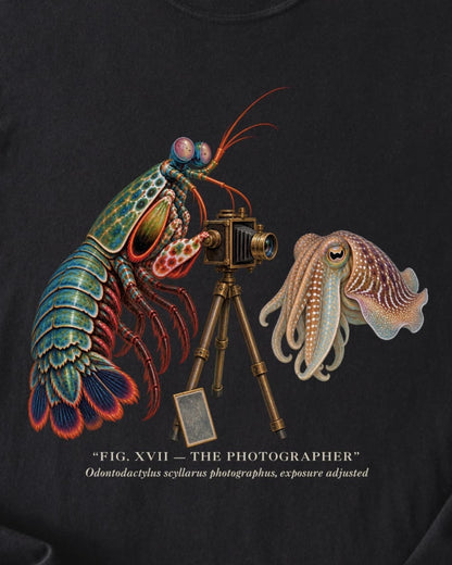 THE PHOTOGRAPHER