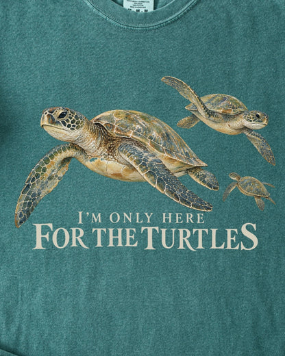 HERE FOR THE TURTLES