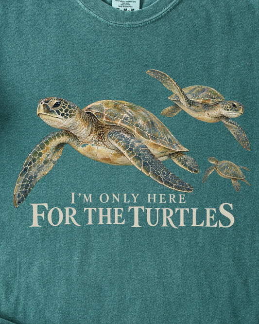 HERE FOR THE TURTLES