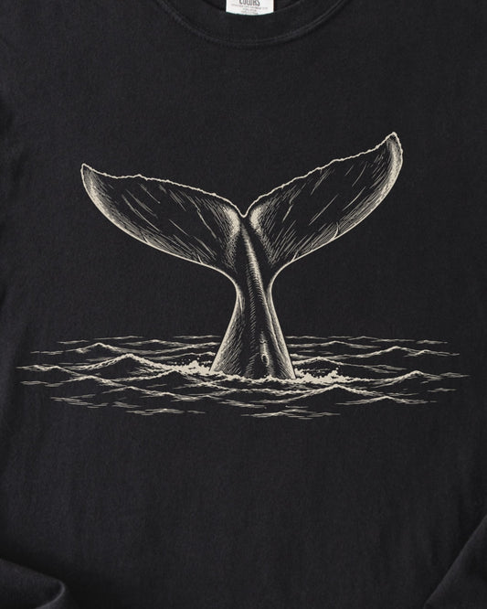 THE LAST WAVE
